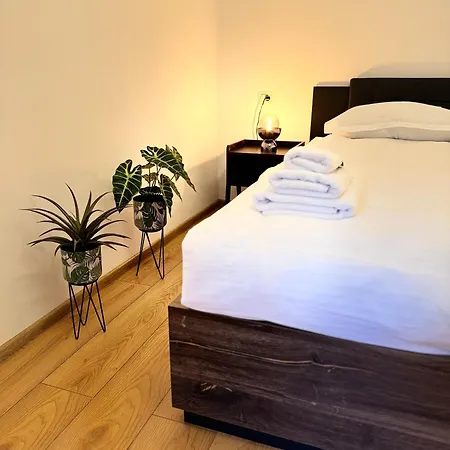 Beautiful With Two Bedrooms